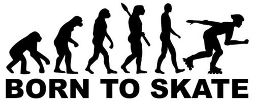 Born To Skate evolutie